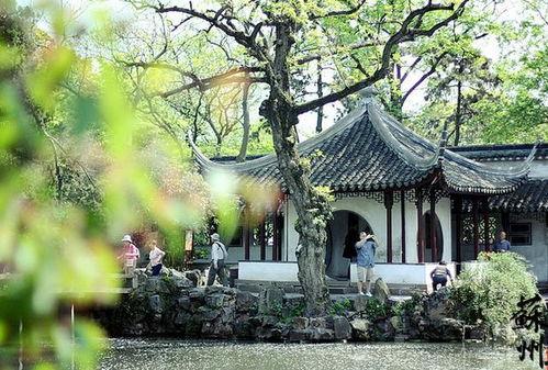 爆料苏州园林视频,古韵盎然,美不胜收的东方园林艺术 第2张 爆料苏州园林视频,古韵盎然,美不胜收的东方园林艺术 第2张
