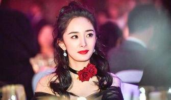 娱乐圈爆料离婚明星,明星夫妻离婚风波,揭秘背后真相 第2张 娱乐圈爆料离婚明星,明星夫妻离婚风波,揭秘背后真相 第2张