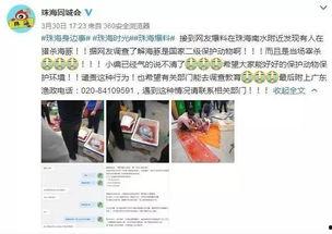 广州珠海爆料事件视频,视频揭露惊人真相 第3张 广州珠海爆料事件视频,视频揭露惊人真相 第3张