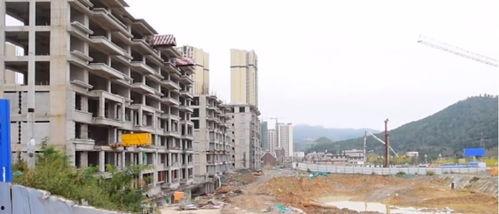 贵州张女士最新爆料,揭秘神秘事件背后真相