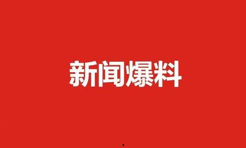 肇东最新爆料新闻视频,视频揭露惊人内幕，详情即将揭晓
