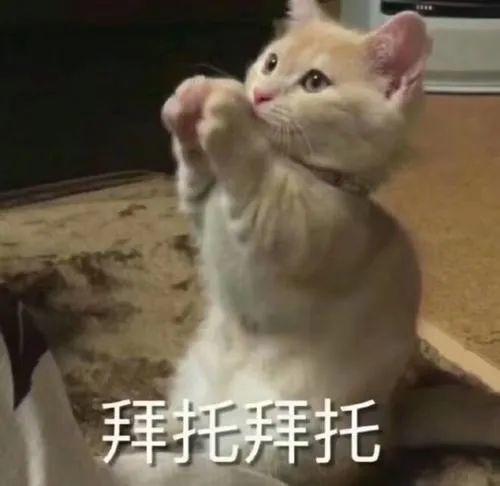 网红不雅事件吃瓜视频,揭秘网络暴力的阴影面 第3张 网红不雅事件吃瓜视频,揭秘网络暴力的阴影面 第3张