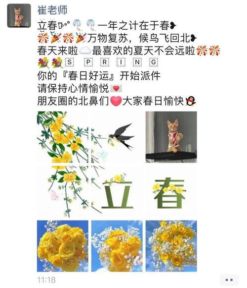 灵儿的吃瓜日记免费阅读,揭秘娱乐圈幕后风云
