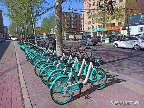 长春滴滴单车最新爆料,揭秘运营困境与未来走向