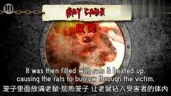 枯心在线观看,揭秘心灵深处的故事  第2张