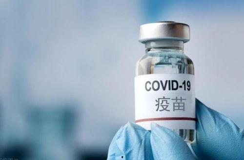 辉瑞高管 爆料新闻,揭秘疫苗研发内幕与行业真相  第2张