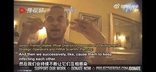 辉瑞高管 爆料新闻,揭秘疫苗研发内幕与行业真相  第3张