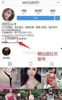网红爆料出轨视频播放网站,揭秘热门播放网站背后的秘密  第2张