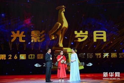国产金鸡在线观看,探寻中国电影艺术的魅力之旅 第3张 国产金鸡在线观看,探寻中国电影艺术的魅力之旅 第3张