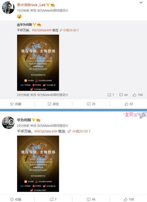 狼族直播爆料视频大全最新,揭秘热门视频背后的精彩故事