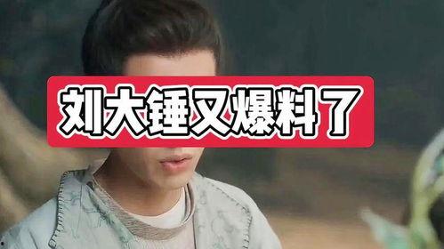 娱乐爆料大锤视频大全最新,揭秘最新视频大全精彩瞬间  第2张