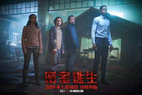 密室3电影在线观看,逃出生天，真相揭晓  第2张