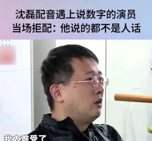 娱乐爆料配音员是谁,揭秘配音界神秘声音背后的配音员身份