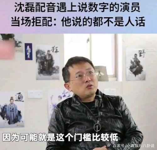 娱乐爆料配音员是谁,揭秘配音界神秘声音背后的配音员身份  第2张