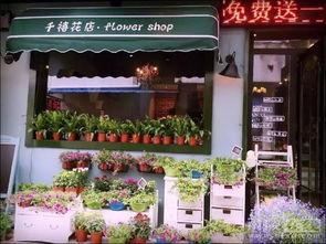 花店老板娘最新爆料事件,最新爆料事件背后的惊人真相 第3张 花店老板娘最新爆料事件,最新爆料事件背后的惊人真相 第3张