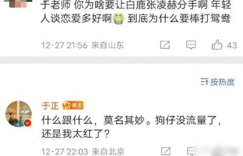 狗仔爆料白鹿最新视频,狗仔爆料揭秘幕后故事
