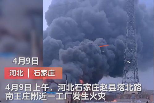 国内外媒体爆料事件视频,国内外媒体爆料事件视频背后的真相