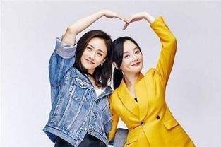 扒爷爆料刘芸视频,刘芸视频事件背后真相曝光