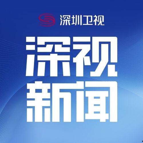 深圳邓先生爆料新闻,揭秘新闻背后的真相