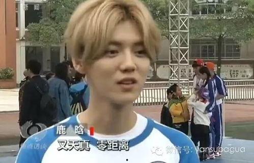 鹿晗家世爆料央视新闻,央视新闻深度剖析  第2张
