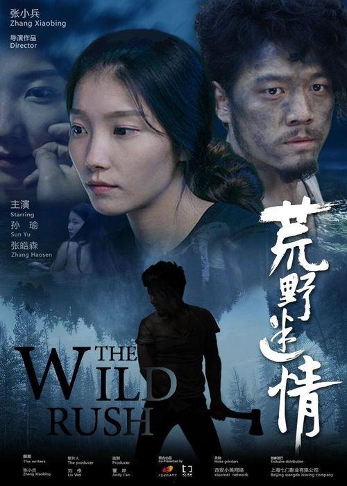 情迷电影在线观看影片,在线观影之旅，邂逅光影中的浪漫故事  第2张