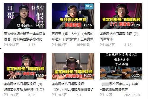 龙岗爆料新闻事件视频播放,视频揭露惊人事件，真相令人震惊！