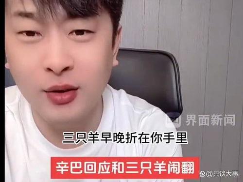 辛巴爆料三只羊内幕视频,揭秘直播带货背后的真相  第2张