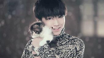 微博爆料王俊凯视频下载,微博爆料引发网友热议