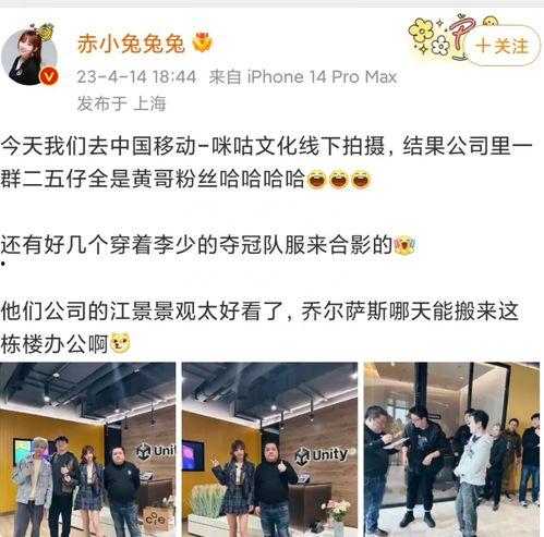 舅舅爆料骗局视频播放网站,骗局视频播放网站内幕大曝光 第3张 舅舅爆料骗局视频播放网站,骗局视频播放网站内幕大曝光 第3张