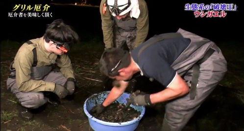 爆料牛哥最新视频,深度解析行业动态与独家爆料