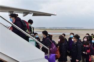 飞机活动爆料新闻,最新飞机活动爆料盘点  第3张