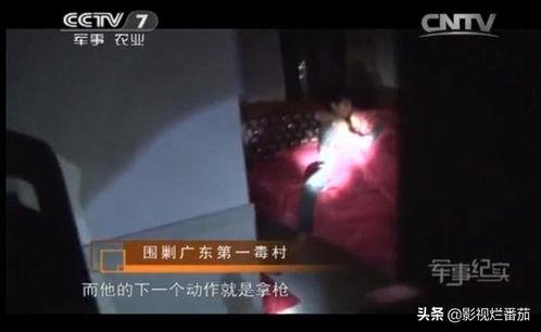 西陆网爆料病毒视频,揭秘病毒传播真相与防控措施  第2张