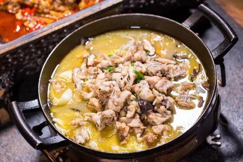 牛蛙名人爆料视频大全,名人爆料视频大全精彩回顾  第2张