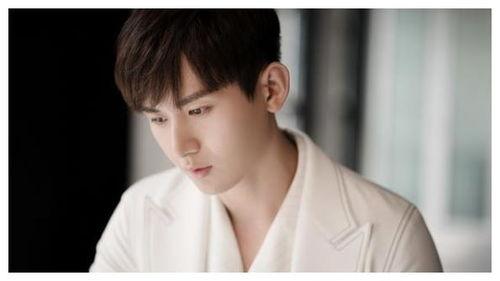 吃瓜娱乐圈成毅是谁的徒弟,揭秘娱乐圈新星成毅的师承之谜  第2张