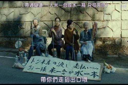 鸟国大片在线观看,在线观看，领略自然之美  第3张