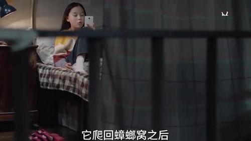 小朋友在成都爆料视频播放,带你领略童真视角下的魅力成都