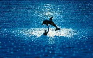 澄澈之水爆料视频,事件背后惊人真相 第3张 澄澈之水爆料视频,事件背后惊人真相 第3张