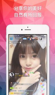 卜哥直播爆料视频大全下载,揭秘幕后真相，带你领略直播魅力