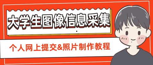 学生要爆料的视频素材怎么弄,学生爆料视频背后的真相  第2张