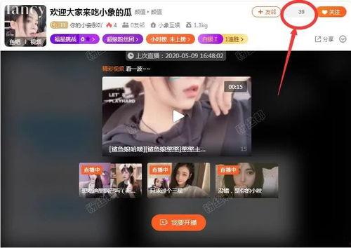 爆料主播探店完结视频,主播带你领略美食背后的故事  第3张