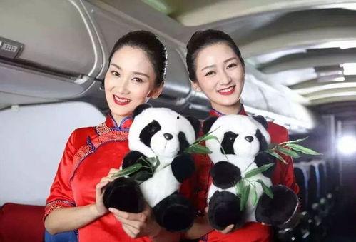 印度空姐爆料视频,真实工作幕后曝光