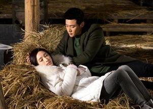 男女情感爆料视频,视频爆料背后的真实故事