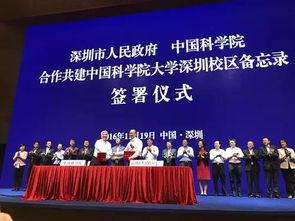 深圳最大新闻爆料,揭秘背后惊人真相