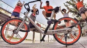 单车爆料视频下载软件,一键下载，畅享视频盛宴