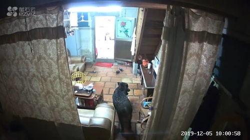 广东揭阳普宁爆料新闻视频,视频揭露惊人事件！  第2张