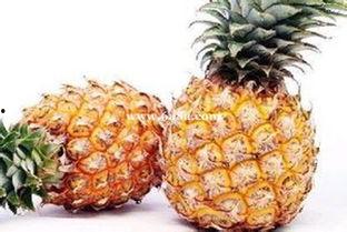 娱乐吃瓜小菠萝视频,揭秘娱乐圈幕后故事  第3张