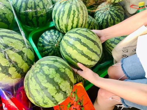 成都网红升学吃瓜,网红吃瓜群众热议升学那些事儿 第2张 成都网红升学吃瓜,网红吃瓜群众热议升学那些事儿 第2张