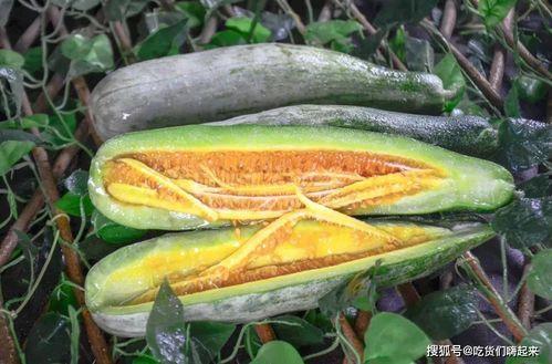 成都网红升学吃瓜,网红吃瓜群众热议升学那些事儿 第3张 成都网红升学吃瓜,网红吃瓜群众热议升学那些事儿 第3张