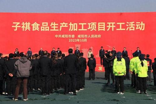 咸阳最新爆料新闻,重大事件引发社会关注，详情即将揭晓！  第2张