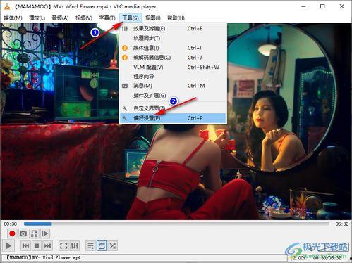 龙眼观察爆料视频播放
